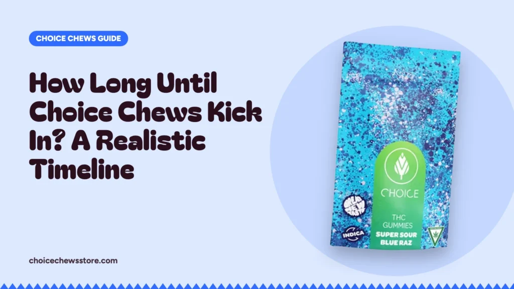 How Long Until Choice Chews Kick In? A Realistic Timeline, Choice Chews guide
